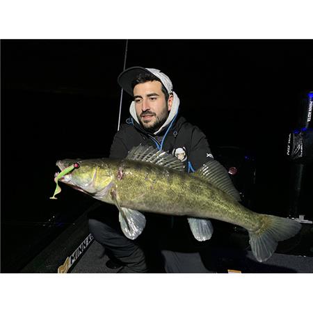 AMOSTRA FLEXÍVEL MONKEY LURES CURLY LUI - 7.5CM - PACK DE 6