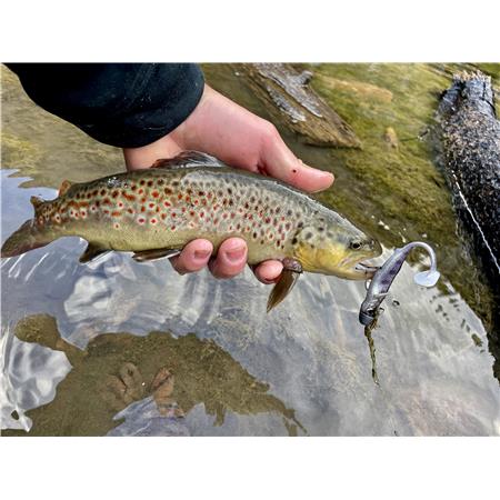 AMOSTRA FLEXÍVEL STUCKI FISHING REAL RIDER PADDLE TAIL - 7CM - PACK DE 6