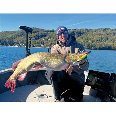 AMOSTRA FLEXÍVEL STUCKI FISHING REAL RIDER PADDLE TAIL - 7CM - PACK DE 6