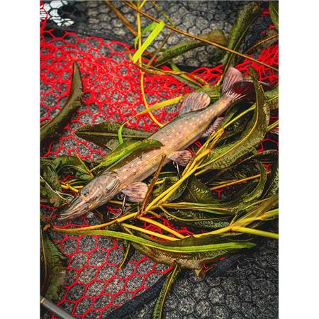 AMOSTRA VINIL ARMADO FOX RAGE ULTRA-REALISTIC PIKE REPLICANT