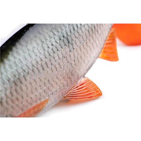 AMOSTRA VINIL ARMADO FOX RAGE ULTRA-REALISTIC ROACH REPLICANT