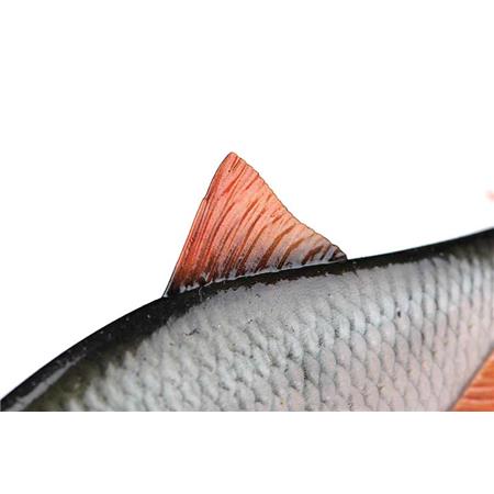 AMOSTRA VINIL ARMADO FOX RAGE ULTRA-REALISTIC ROACH REPLICANT