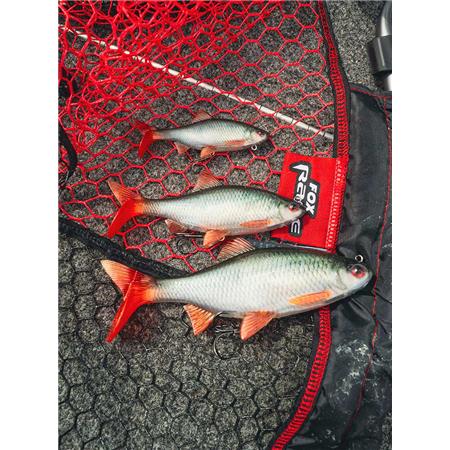 AMOSTRA VINIL ARMADO FOX RAGE ULTRA-REALISTIC ROACH REPLICANT