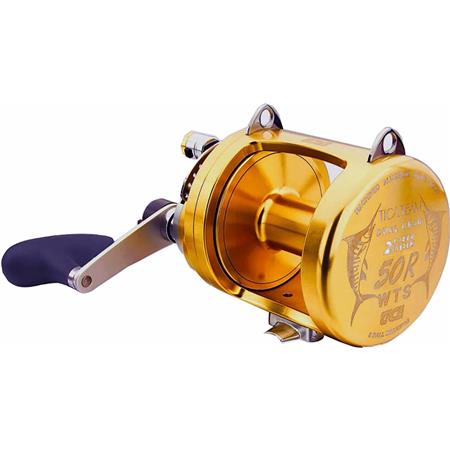 ANGELROLLE TRAIN TICA TICATEAM WTS