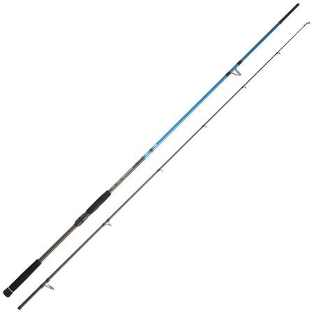 ANGELRUTE DAIWA SPITFIRE SEABASS