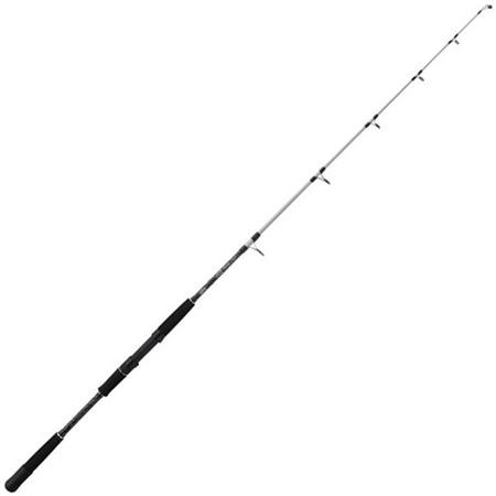 Angelrute Mitchell Tanager Sw Jig