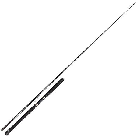 Angelrute Penn Prevail Iii Le Sw Boat Inline Rod