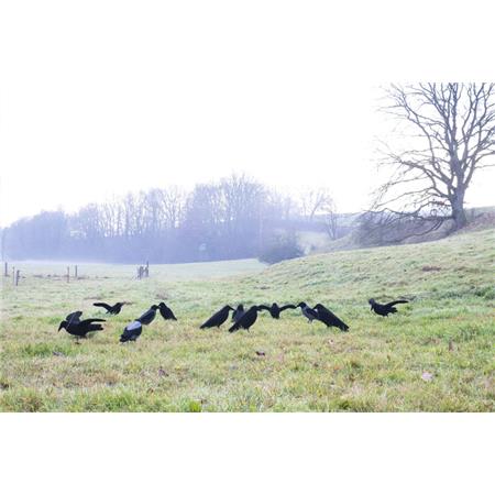 ANRUFER EUROHUNT CORBEAU À CAPUCHE FLOQUÉ CORPS ENTIER