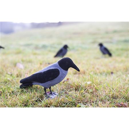 Anrufer Eurohunt Corbeau À Capuche Floqué Corps Entier