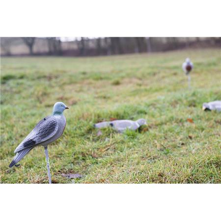 Anrufer Eurohunt Pigeon Leurre À Coquille Pleine