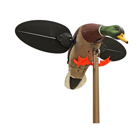 APPELANT MOJO CANARD COLVERT MALE À AILE TOURNANTE