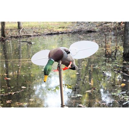 APPELANT MOJO CANARD COLVERT MALE À AILE TOURNANTE
