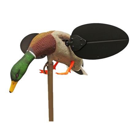 Appelant Mojo Canard Colvert Male À Aile Tournante