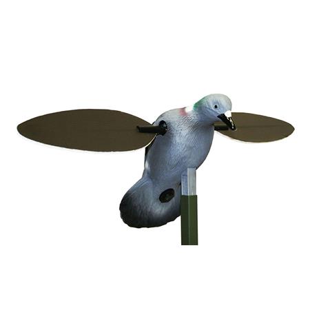 Appelant Mojo Pigeon
