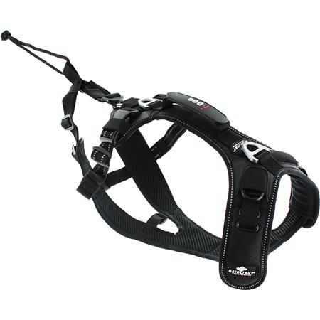 ARNÉS I-DOG RAIDLIGHT CANI-TRAIL