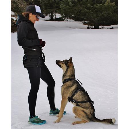 ARNÉS I-DOG RAIDLIGHT CANI-TRAIL