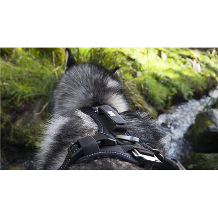 ARNÉS I-DOG RAIDLIGHT CANI-TRAIL