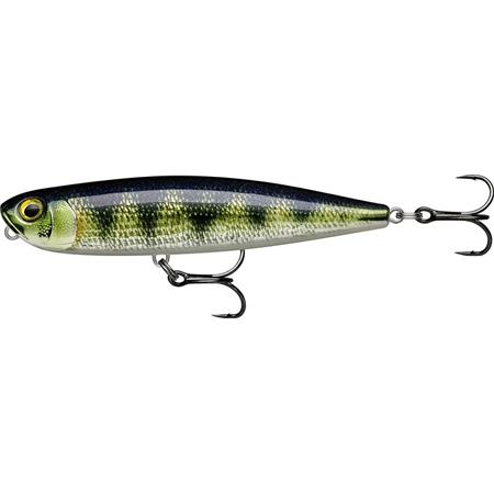 Artificiale Di Superficie Rapala Precision Xtreme Pencil - 10.7Cm