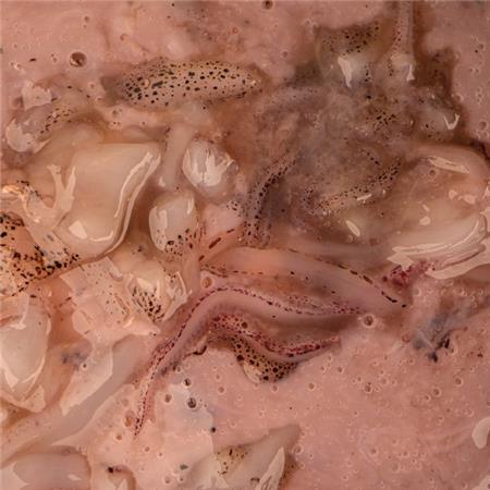 ATRAENTE LÍQUIDO NATURAL NASHBAIT SALTED SQUID