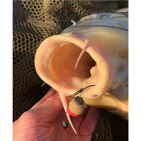 BAIT ATTACHMENT POLE POSITION WEIGHT SCREW