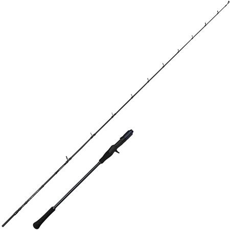 Baitcasting Stang Savage Gear Defiance Sg2 Slow Jigging Cast