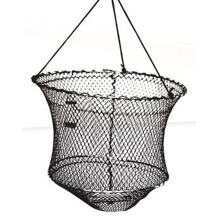 Balanza Para Camarones Autain Mediterrannee