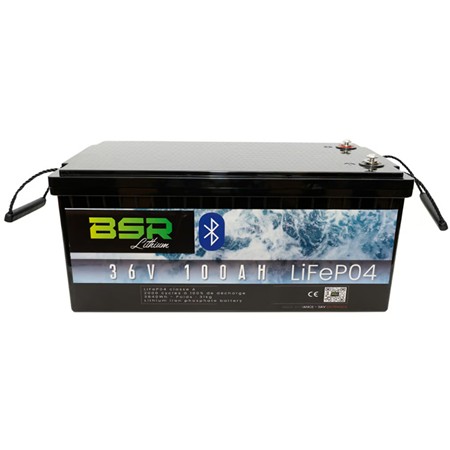 Batterie Al Litio Bsr Monobloc Lifepo4 36V100ah + Chargeur Non Étanche 10A