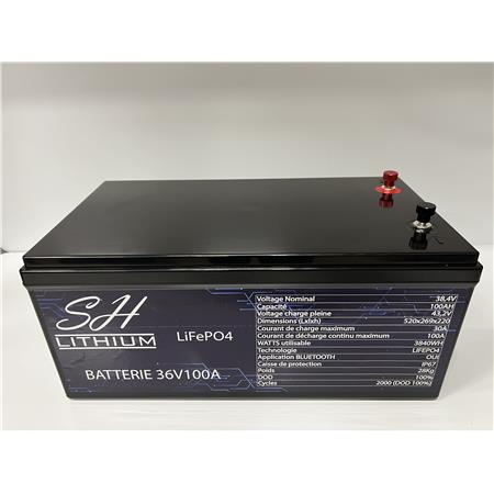 Batterie Lithium Sh Lithium Lifeop4 ??G?T?S T???S Bluetooth 36V100amp + F????S??S