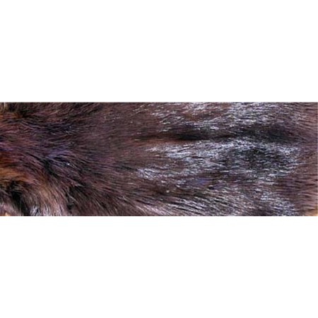 Beaver Hairs Tof