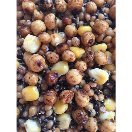 BEREID ZAAD MOSELLA MIX 2 - MELANGE DE GRAINES