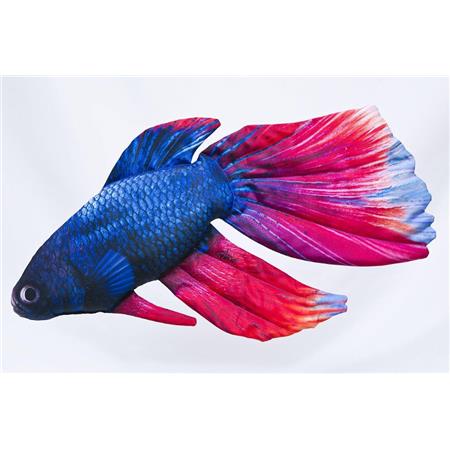 Betta Cushion Gaby