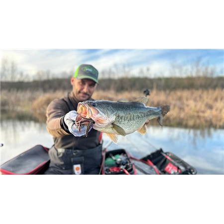 BLØDT AGN HART SPY CRAW 4” - 10.2CM - PAKKE MED 8