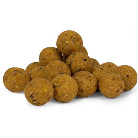 ΜΠΌΙΛΕΣ AVID CARP B8-UP - 5KG