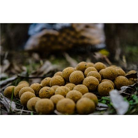 BOILI PRO ELITE BAITS BOILIES CLASSIC GARLIC