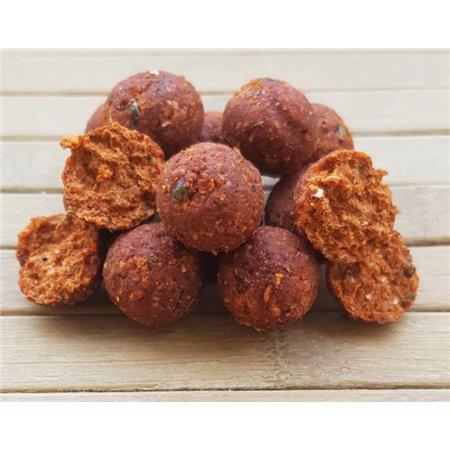 BOILIE CARP BOILIES NATURAL INDIAN SPICE SQUID