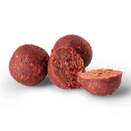 BOILIE FENCL BOILIE CHILLI PEPPER