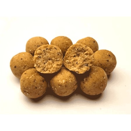 BOILIE MTC BAITS BIG FISH NUTS