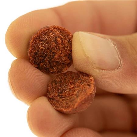 BOILIES CAP RIVER INDIAN SPICE