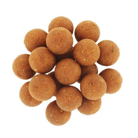 BOILIES CAP RIVER PÊCHE POIVRE