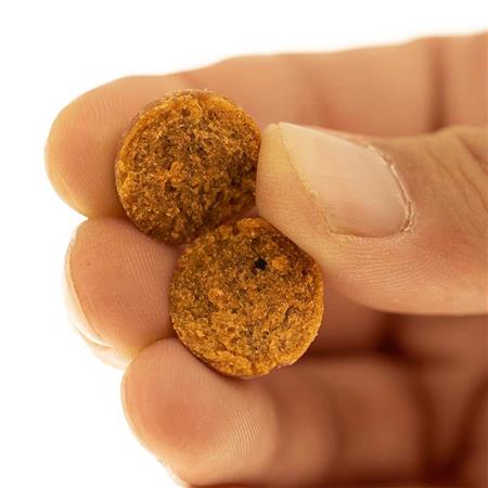 BOILIES CAP RIVER PÊCHE POIVRE