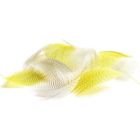 Bok Kaczki Devaux Dvx