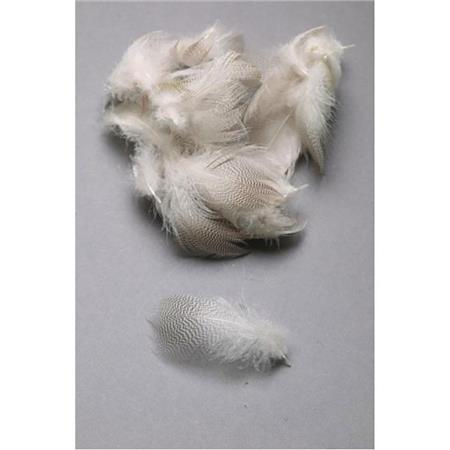 Bok Kaczki Fly Scene Mallard Flank