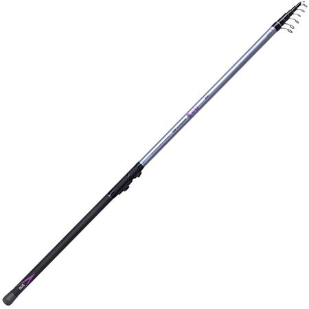 Bolognaise Hengel Mikado Ultraviolet Ii Bolognese