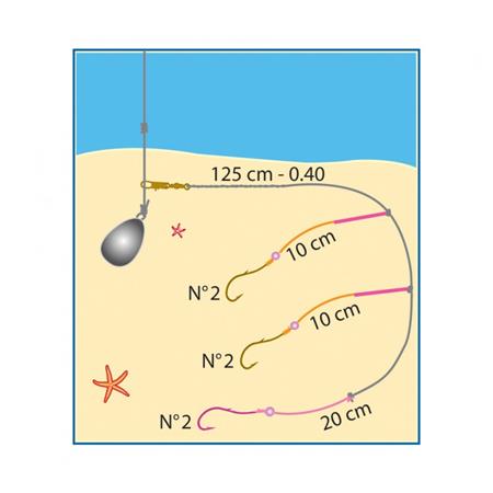 BOTTOM LINE FLASHMER POISSONS PLATS