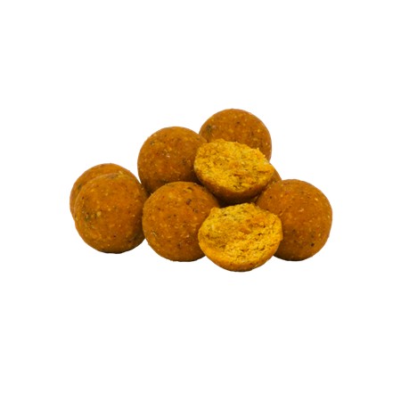 BOUILLETTE AVID CARP CREAMY SCOPEX BOILIES