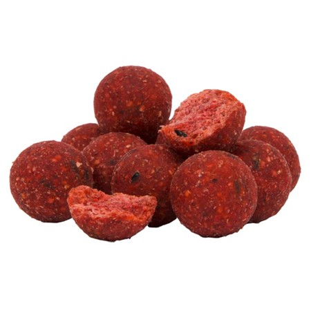 BOUILLETTE AVID CARP SQUID & STRAWBERRY BOILIES