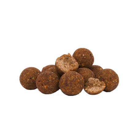BOUILLETTE AVID CARP V-NUT BOILIES