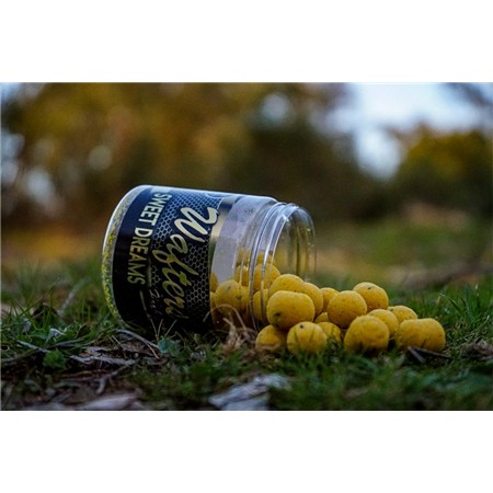 BOUILLETTE ÉQUILIBRÉE PRO ELITE BAITS GOLD WAFTER BOILIE+DUMBELL