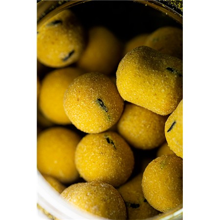 BOUILLETTE ÉQUILIBRÉE PRO ELITE BAITS GOLD WAFTER BOILIE+DUMBELL