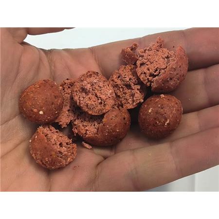 BOUILLETTE SESSION BAIT SQUID & OCTOPUS - 5KG